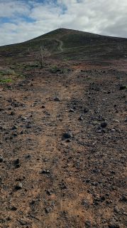 GC-Mirador de la Cruz (Las Palmas) 2026-08.jpg